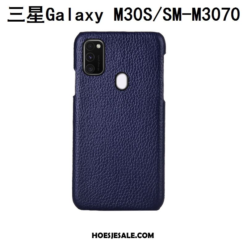 Samsung Galaxy M30s Hoesje Anti-fall Achterklep Soort Aziatische Vrucht Blauw Bescherming Kopen