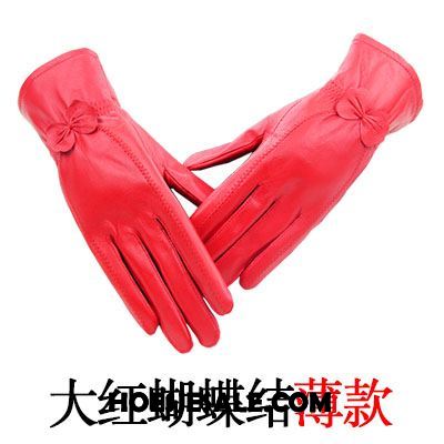 Handschoenen Dames Pluche Handschoen Dun Herfst Voorjaar Online