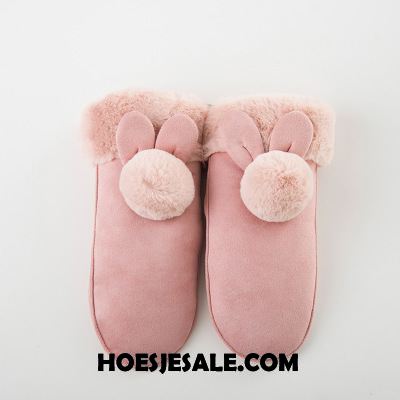 Handschoenen Dames Schattig Handschoen Vrouwen Winter Grijs Kopen