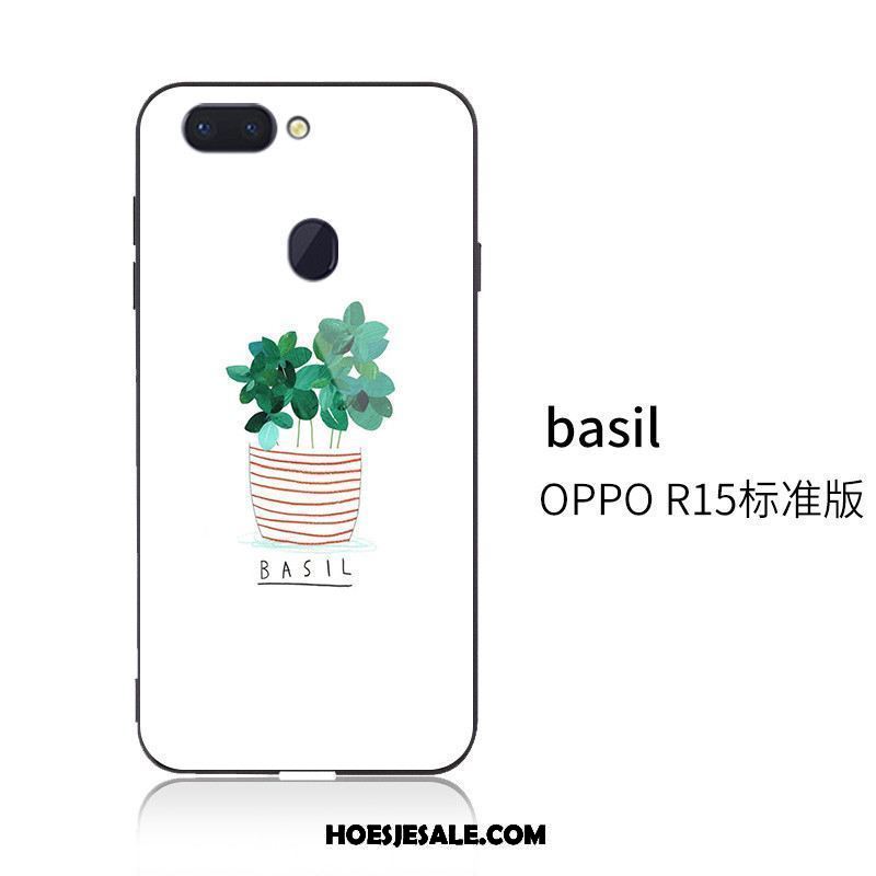 Oppo R15 Hoesje Glas Mobiele Telefoon Scheppend Bescherming Hoes Winkel