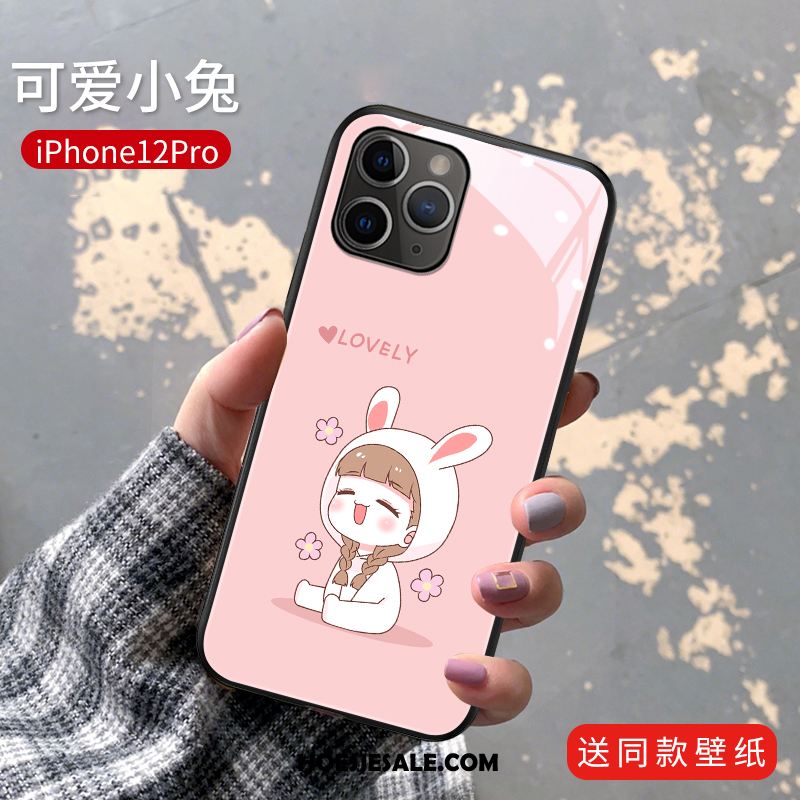 iPhone 12 Pro Hoesje Spotprent Roze Anti-fall Lovers Mini Kopen