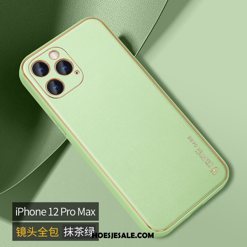 iPhone 12 Pro Max Hoesje Grijs Persoonlijk Scheppend All Inclusive Anti-fall Kopen