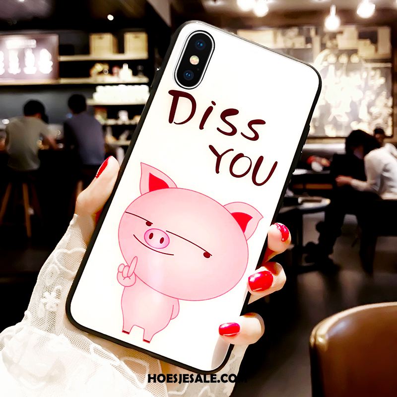 iPhone Xs Max Hoesje Spotprent Bescherming Trendy Merk Hoes Glas Online