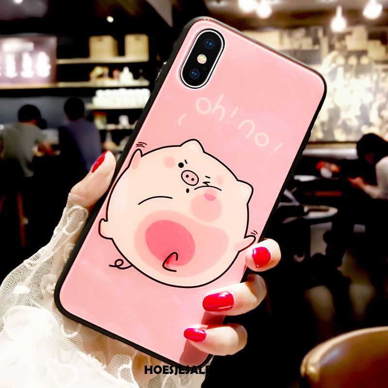 iPhone Xs Max Hoesje Spotprent Bescherming Trendy Merk Hoes Glas Online