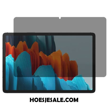 Anti-spionage Gehard Glazen Schermbeschermer Voor Samsung Galaxy Tab S11