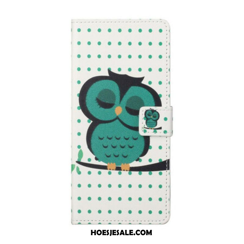 Flip Case voor iPhone 13 Pro Slapende Uil